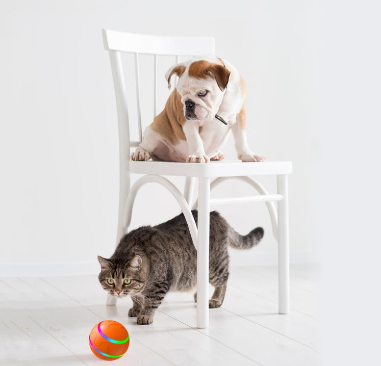 Smart USB Cat Toy: Self-Rotating Interactive Ball - Fur-Ever Yours